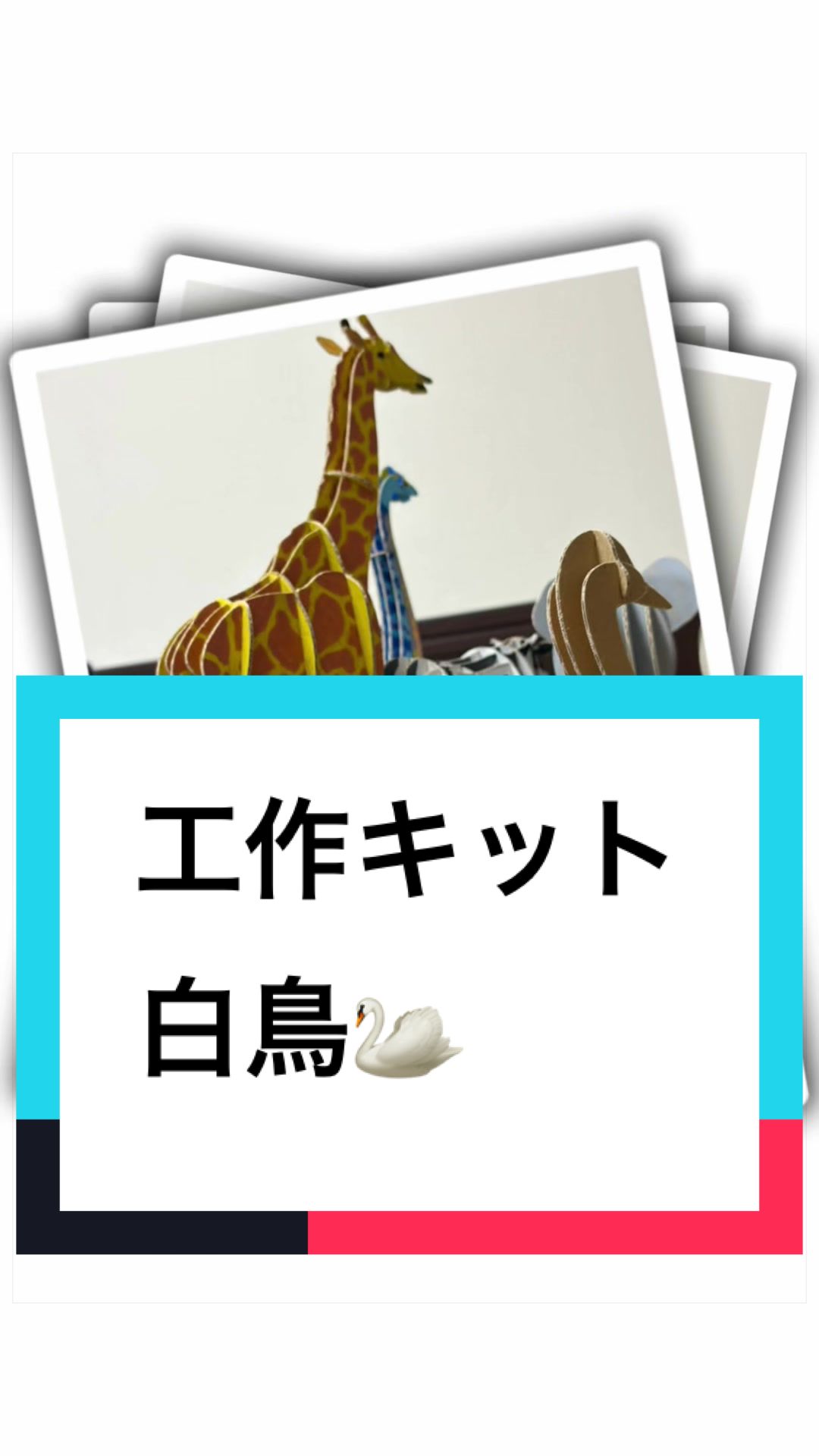 @ダンボール王子🌏♾️🐦&zwj;🔥