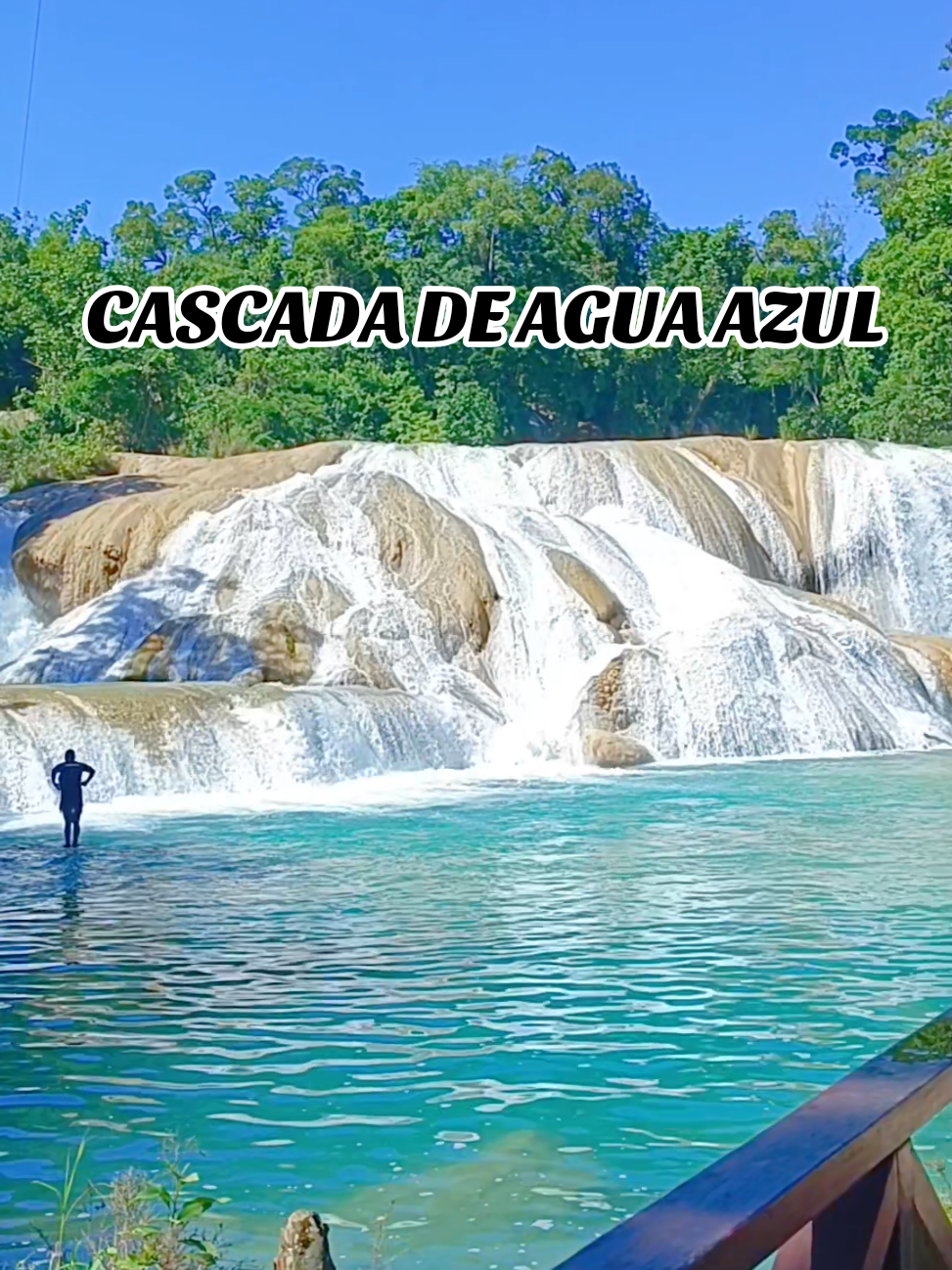 @Jenniiy Castillo
