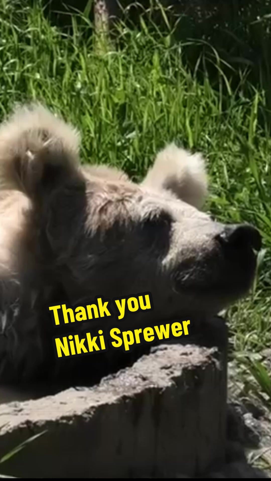 @Whiterock.savewildfund
