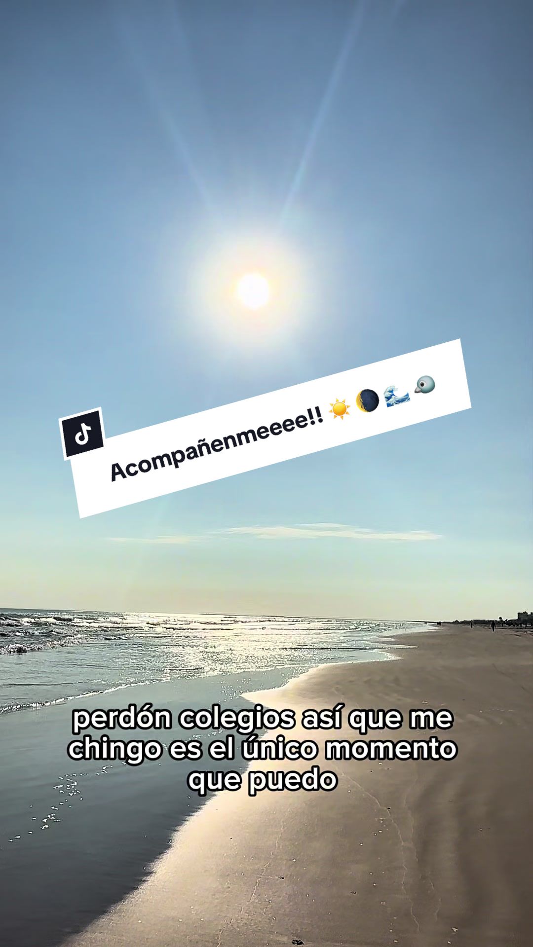 @Shey León