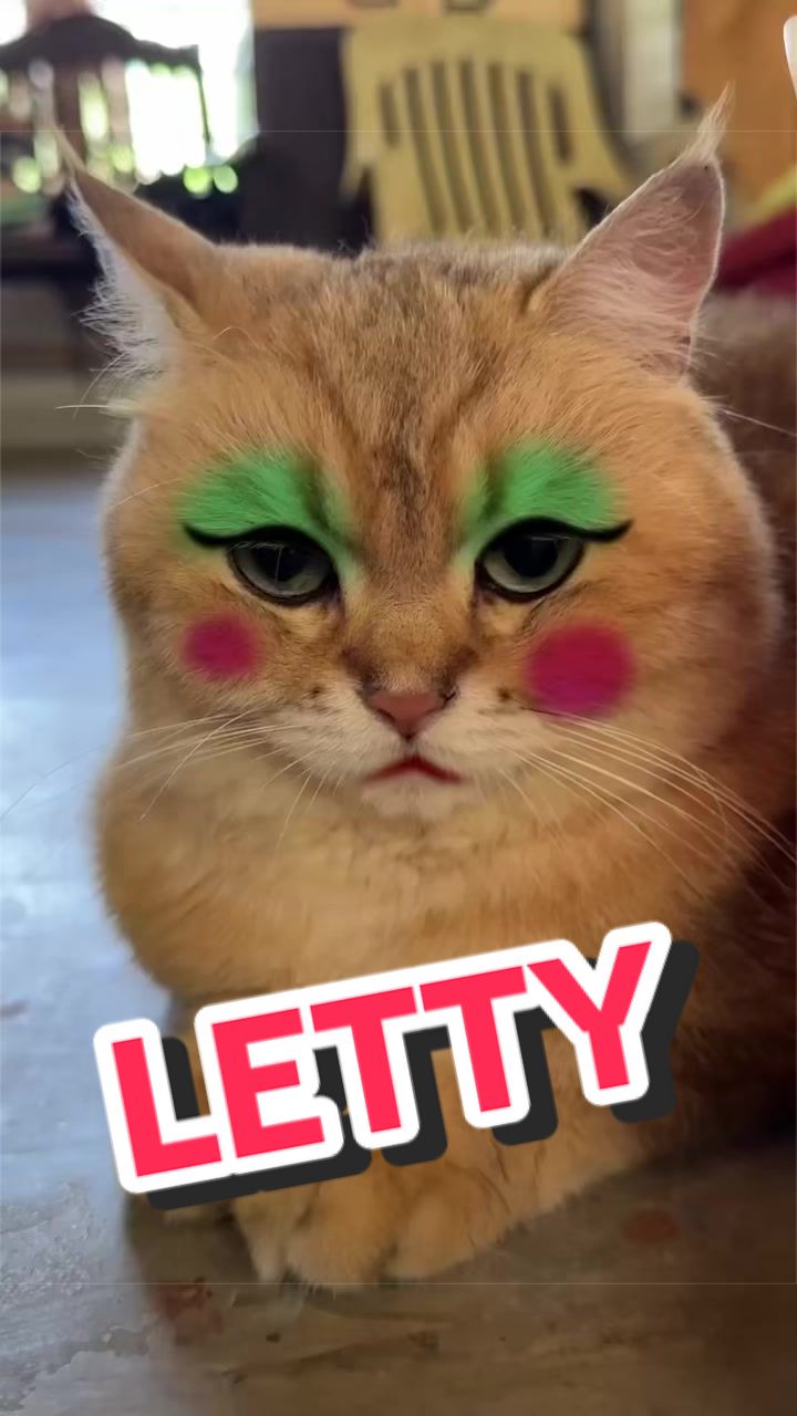 @Leet
