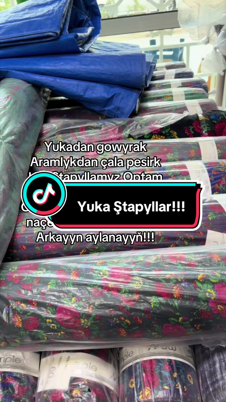 @Birinji el Optam Stapyllar1