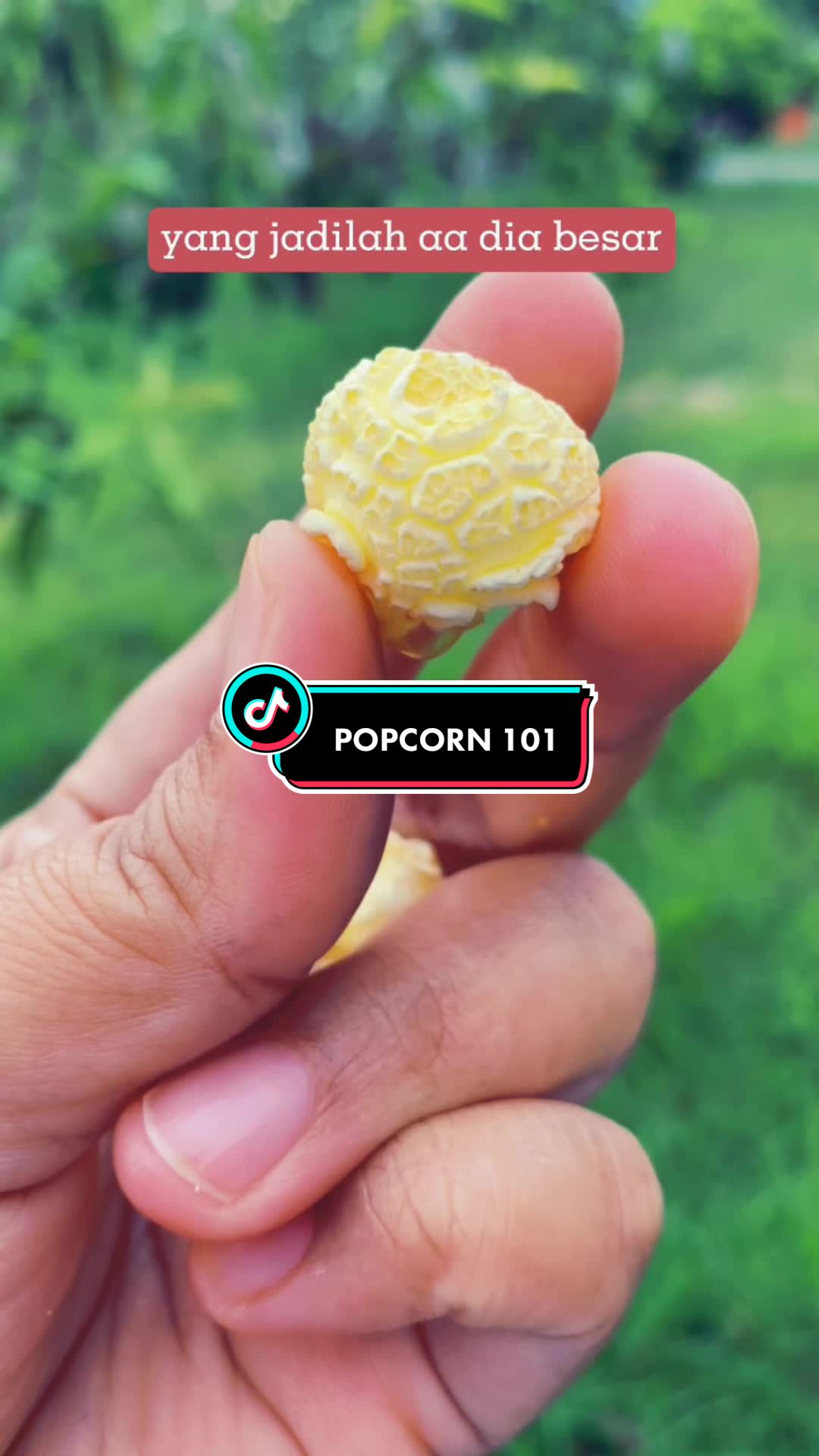 @ANAQI&rsquo;s POPCORN HQ