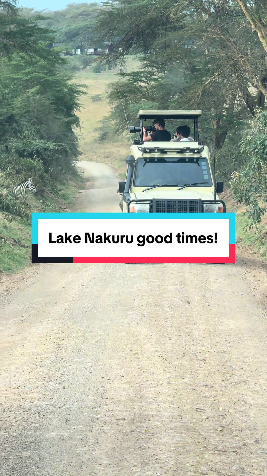 @Milana Tours and Safaris