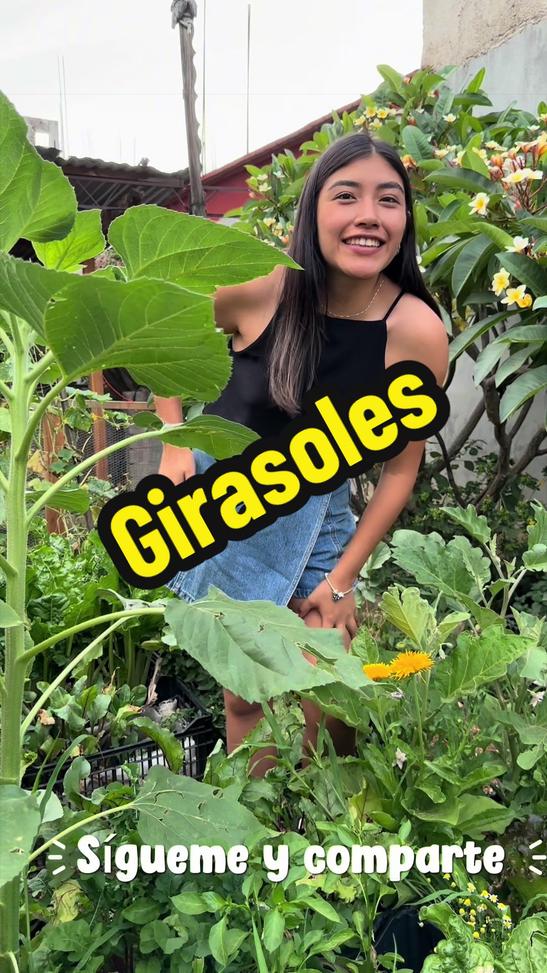 @cultivaconkarla