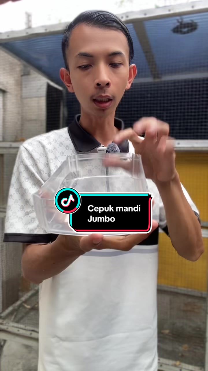 @kicau mart