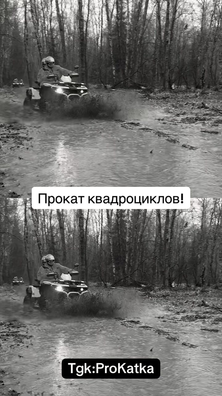 @grishin_pro