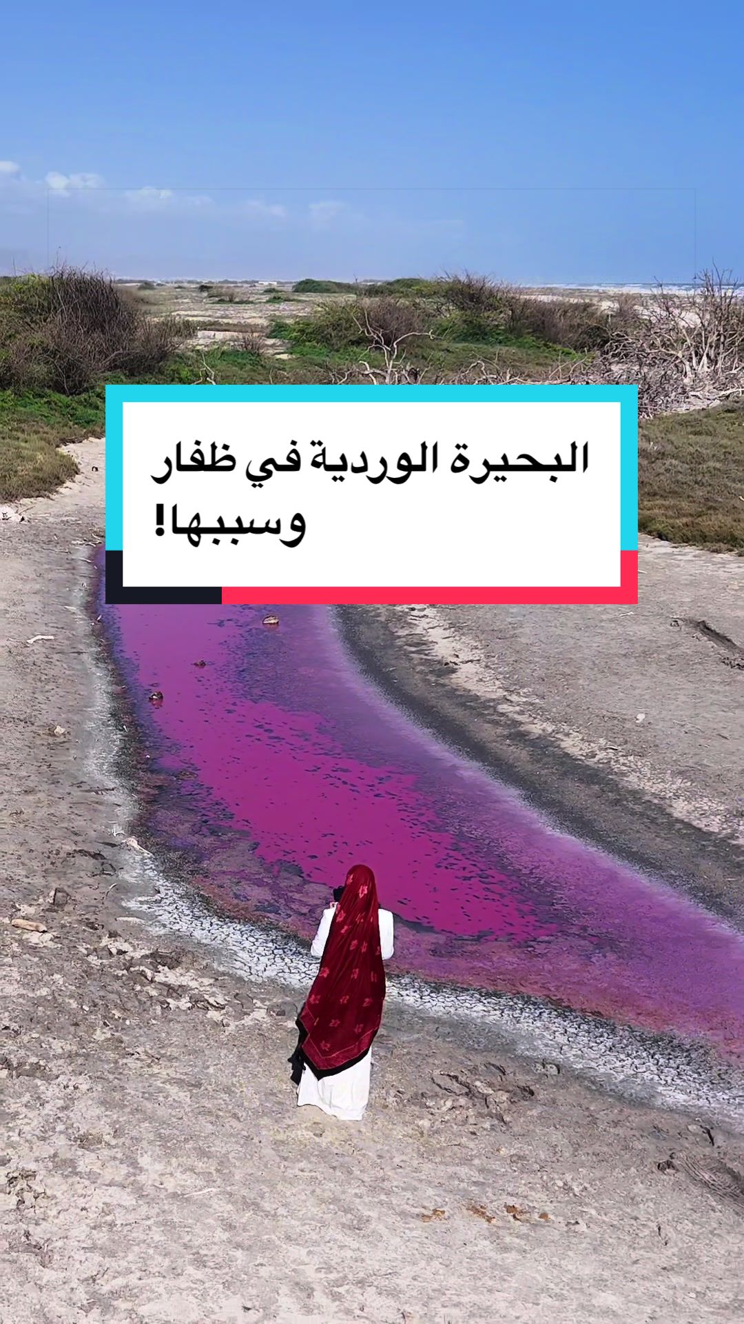 @Wafaa