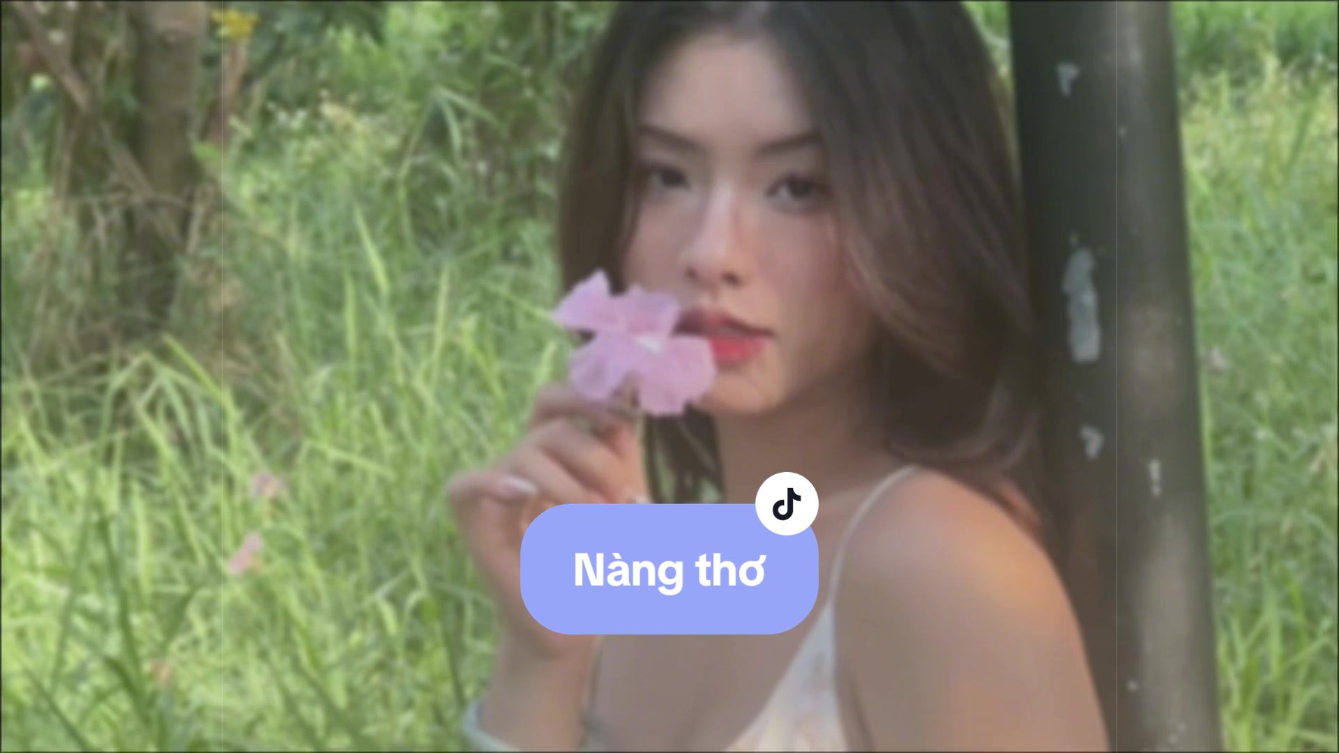 @ZÀNG