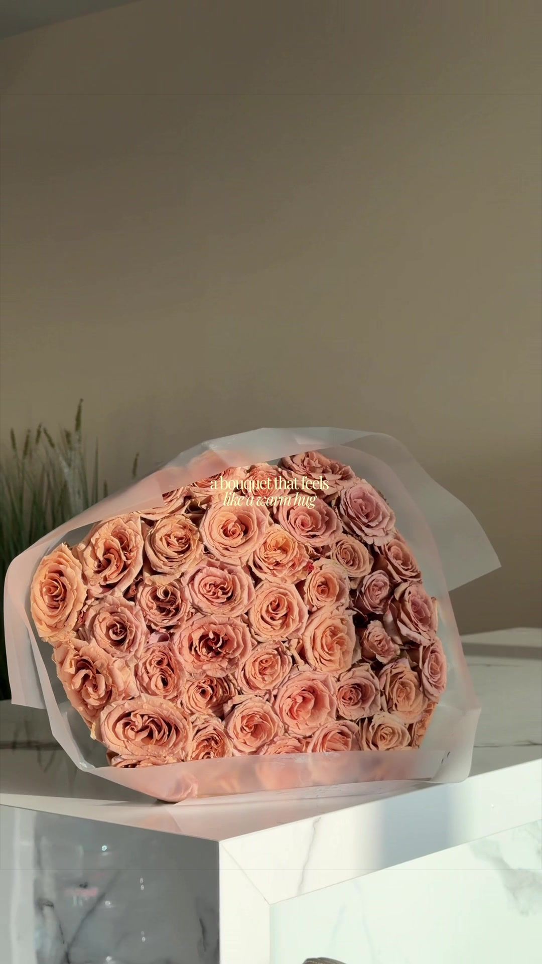 @cathvisuals