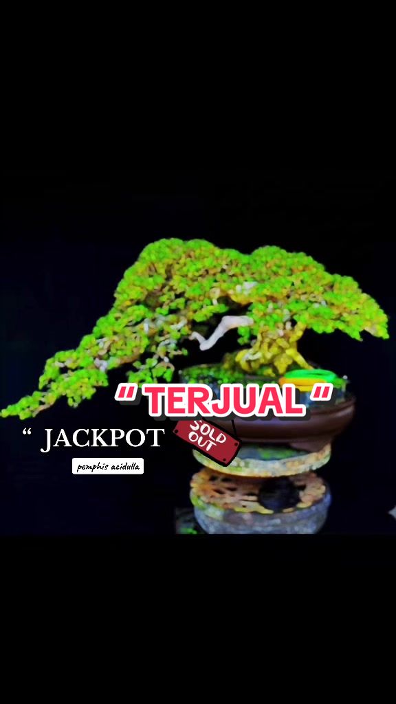 @warbonsai_purwodadi