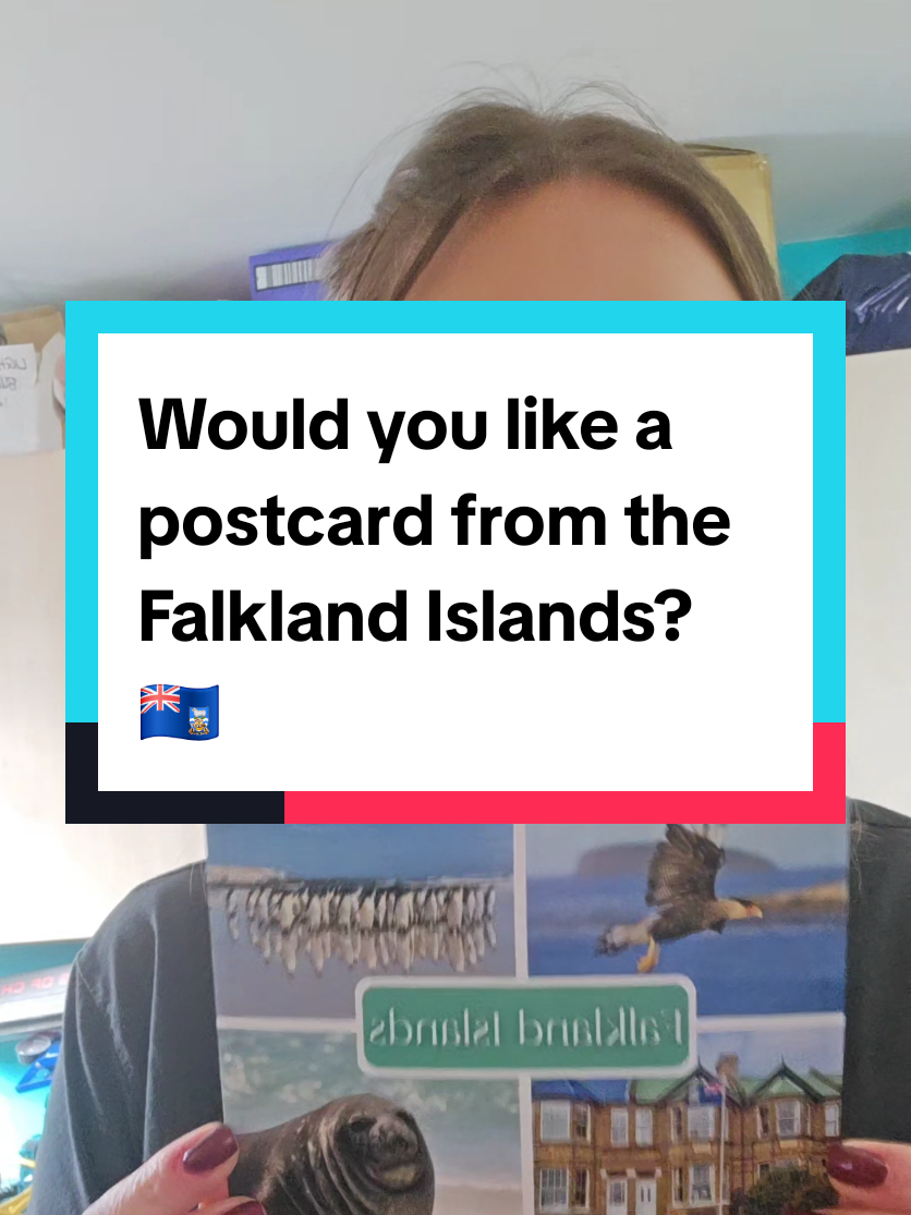 @🇫🇰Roxy in the Falklands🇫🇰