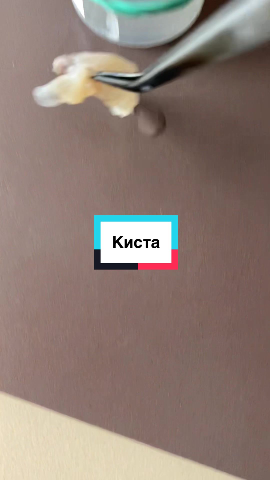 @Nata___Ignatova