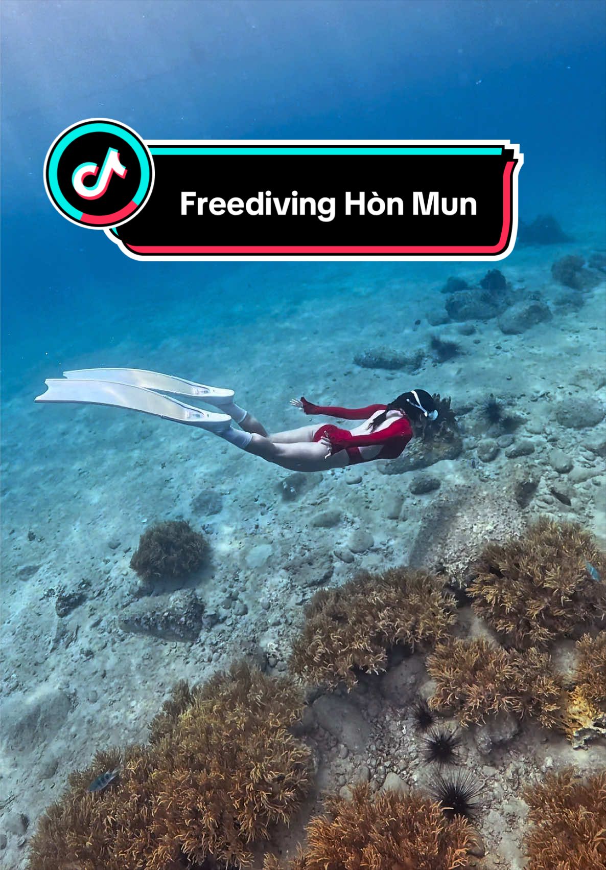 @Love Freediving Nha Trang