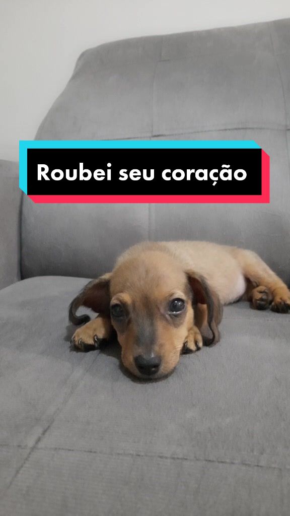 @Luke