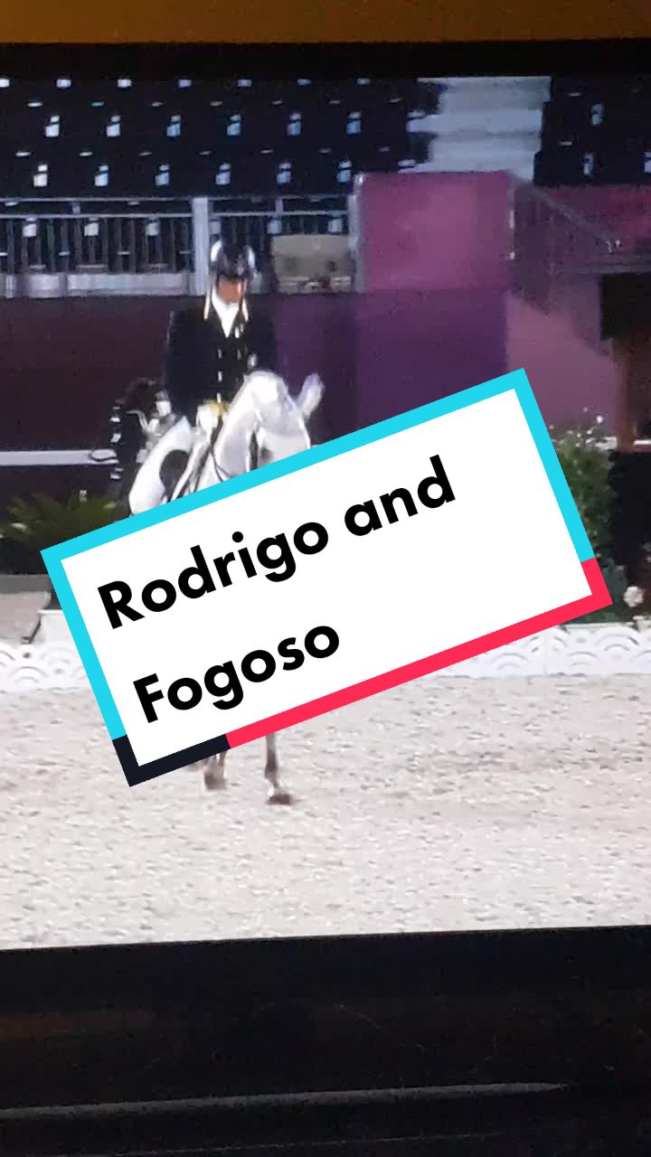 @Artline Dressage