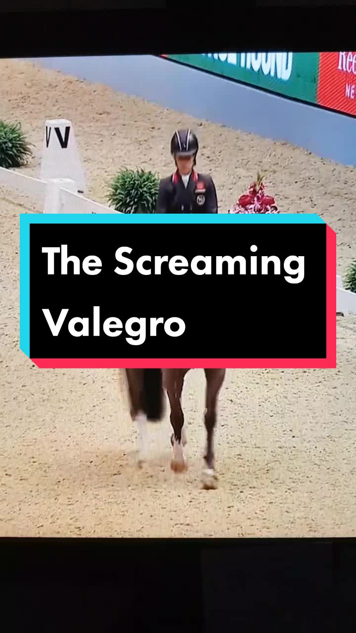@Artline Dressage
