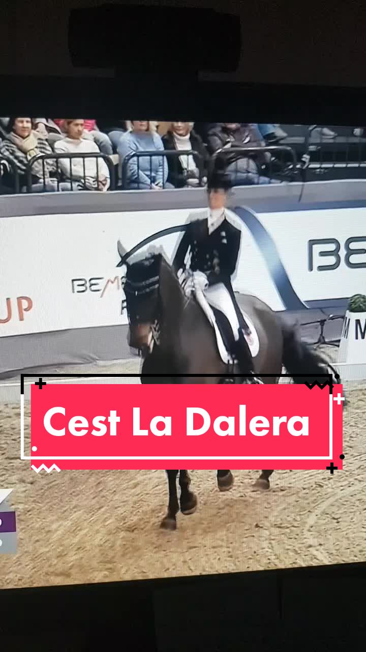 @Artline Dressage