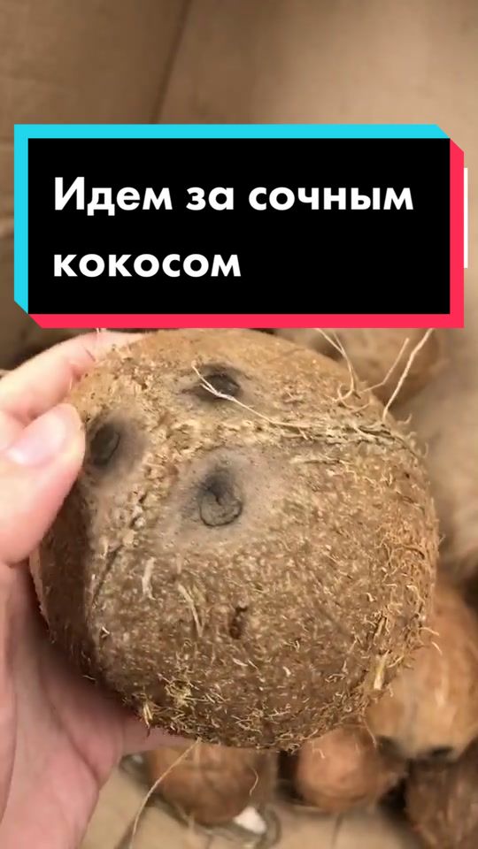 @Разрушительница мифов😎
