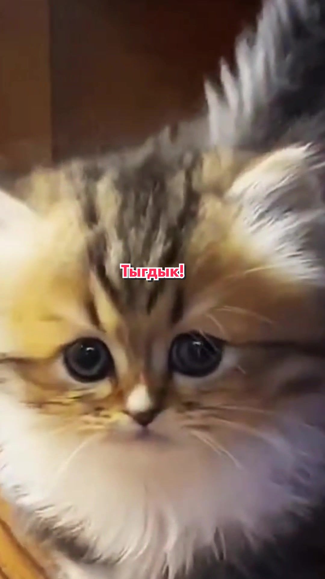 @Кот Клякса