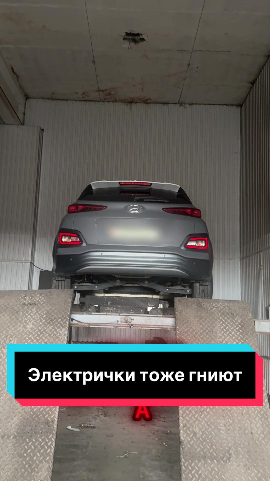 @Пегас-авто Витебск