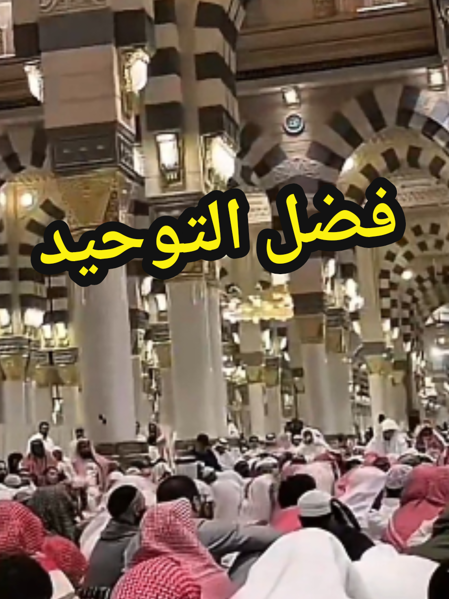 @سعود من المدينة المنورة 🛑
