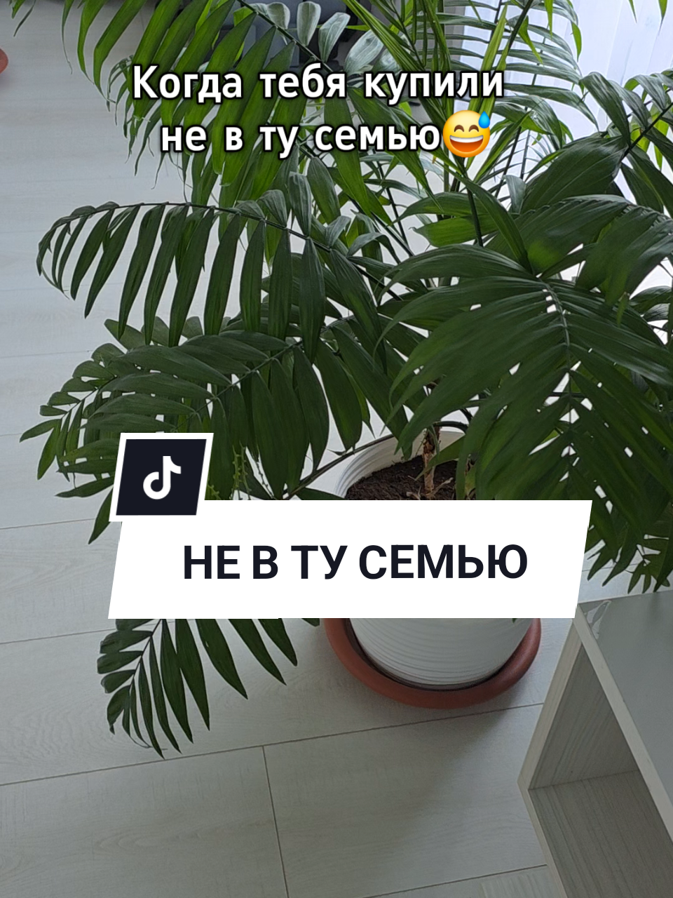 @Аня Бобруйск