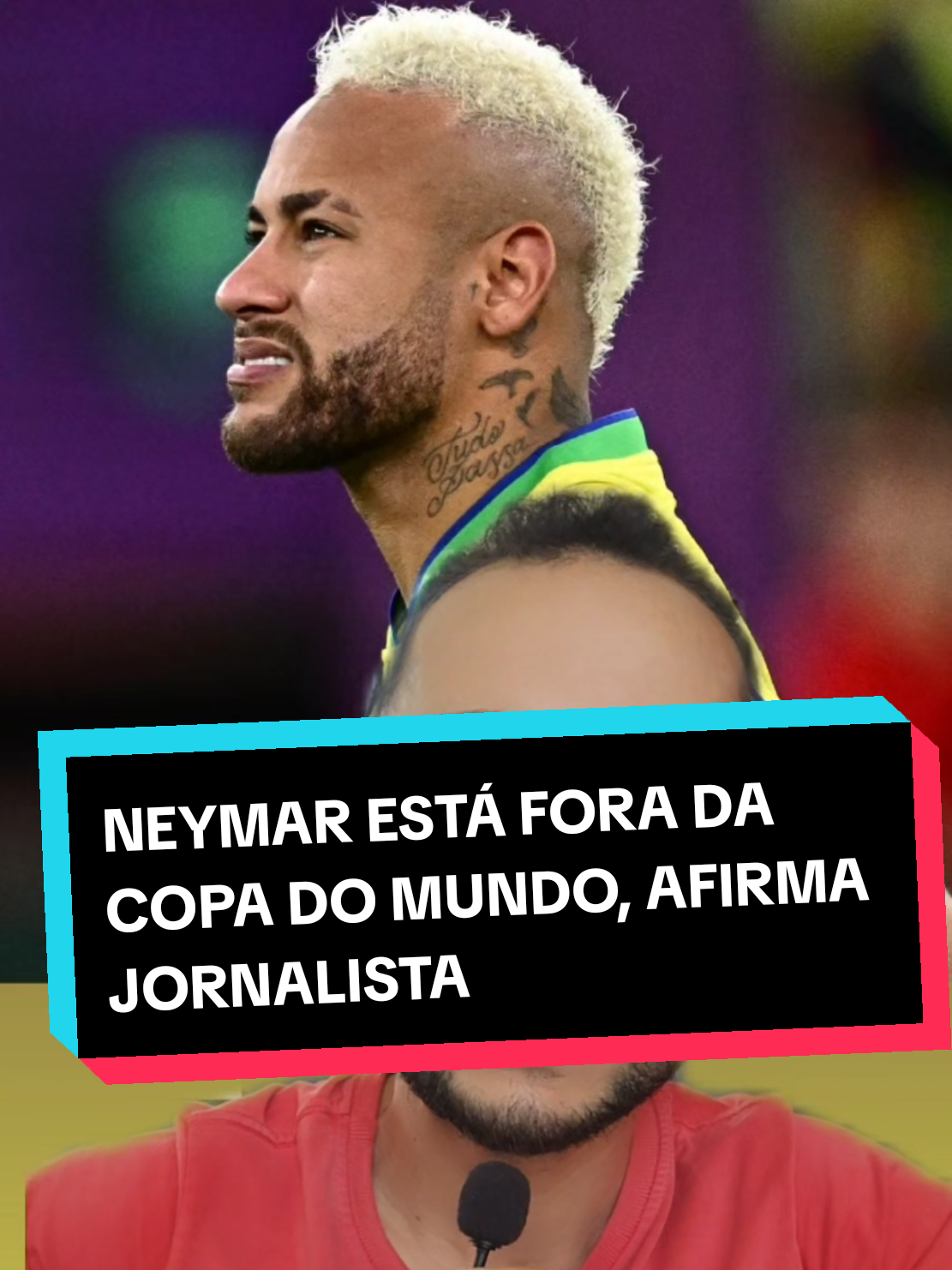 @analistaleigo