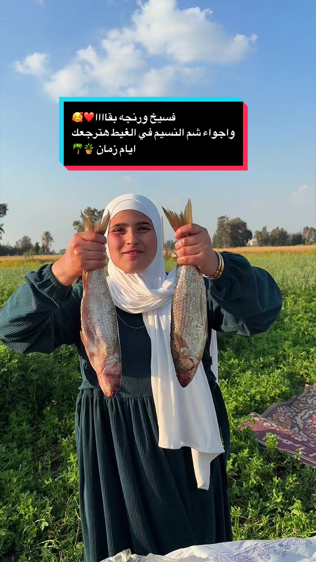 @habiba.baaqa