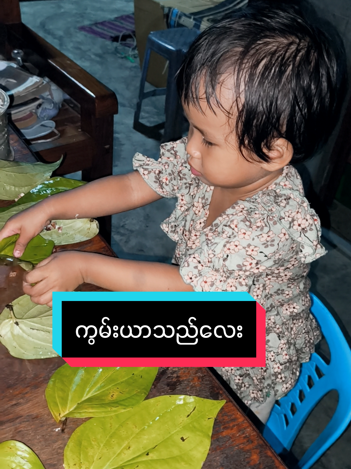 @နော်မေမြတ်မှူးသာ
