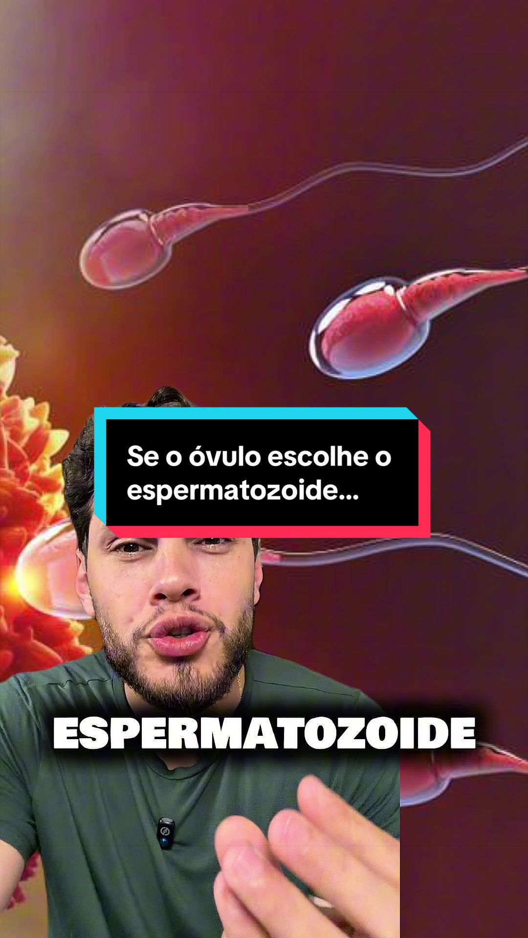 @Fercavs