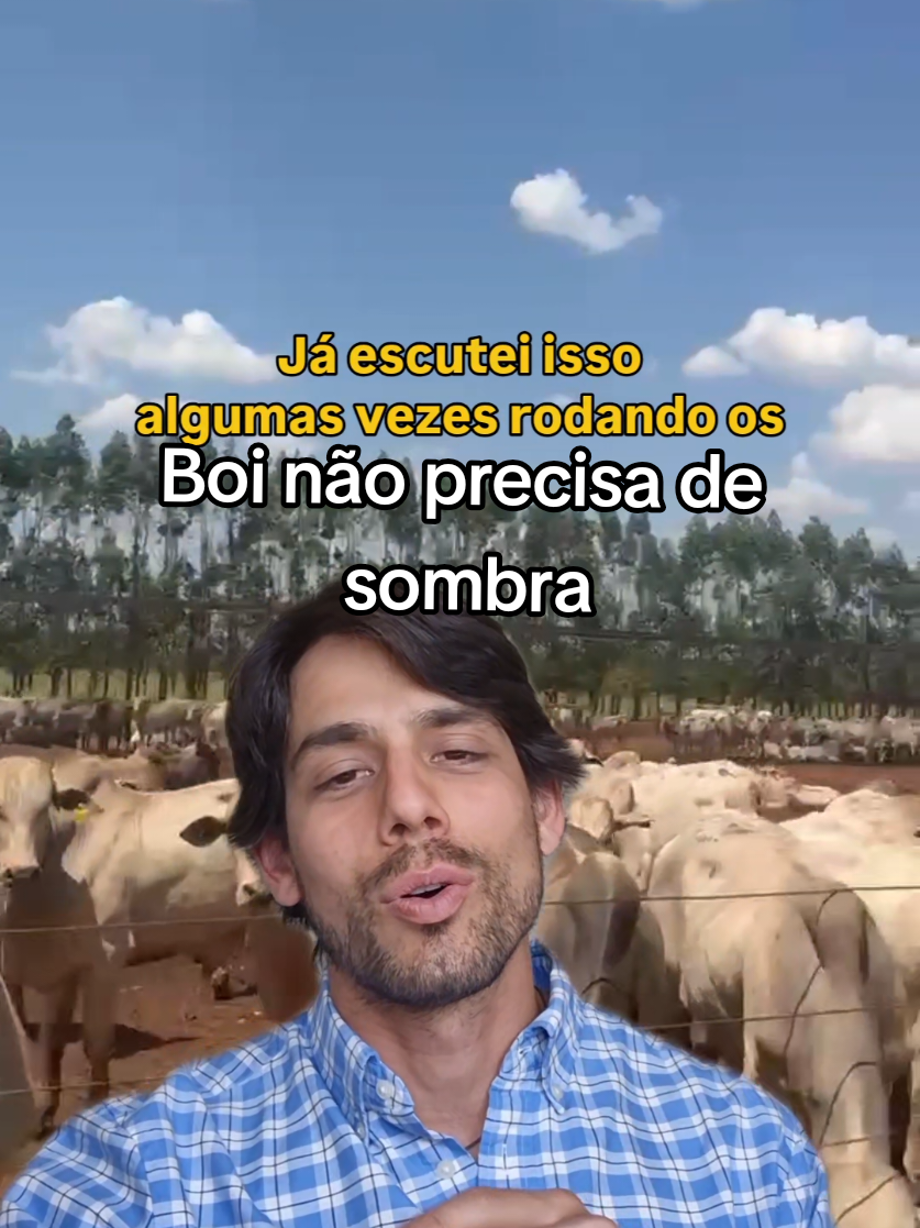 @Olavo Franco Bottino