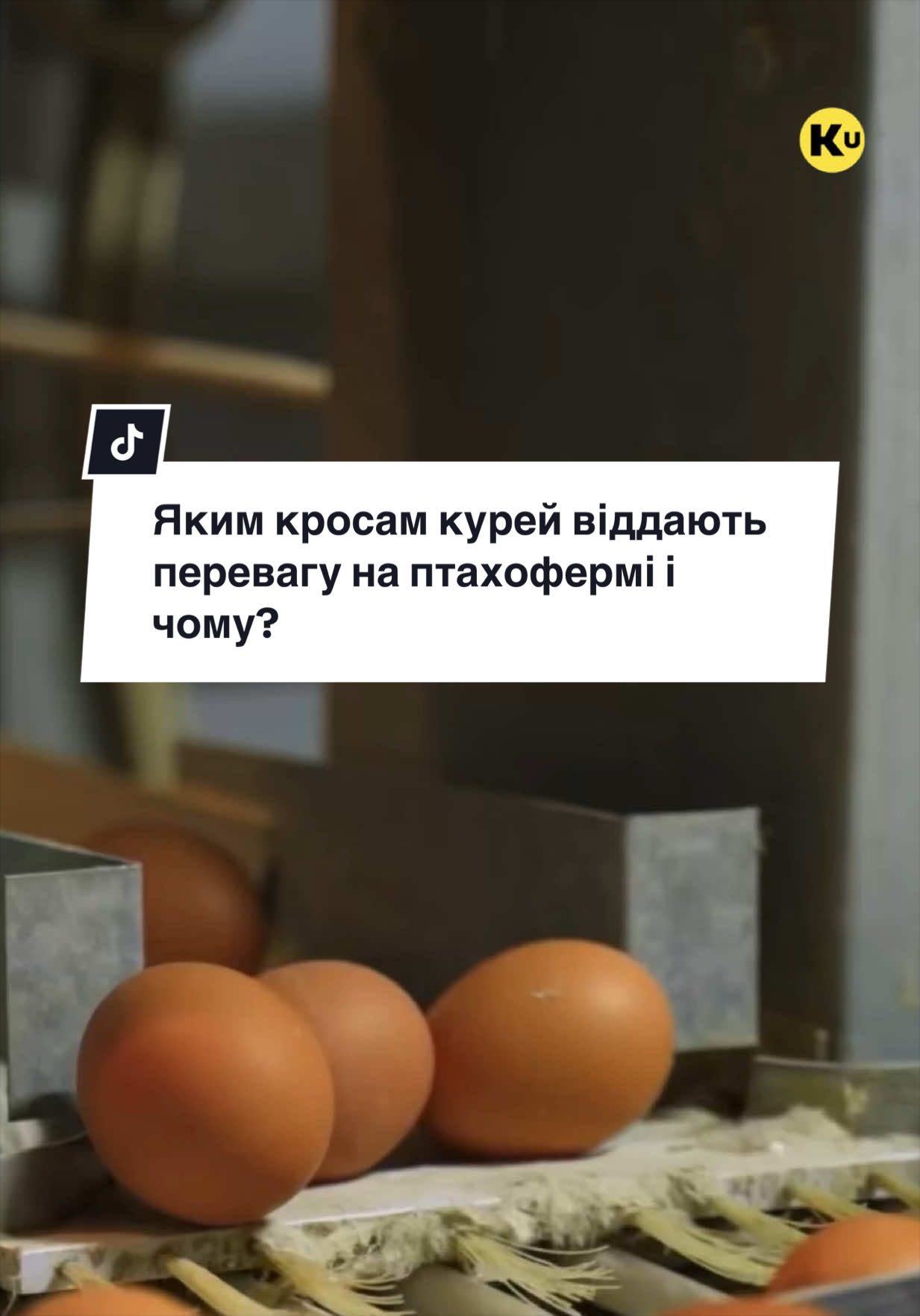 @Ku 🟨🟩 Lati – Agro Ukraine