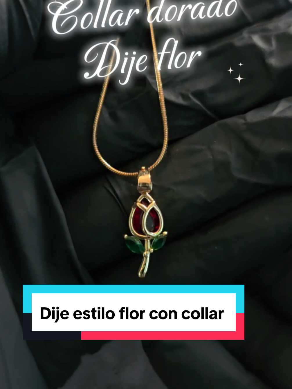 @ELCABALLERODELTIKTOK