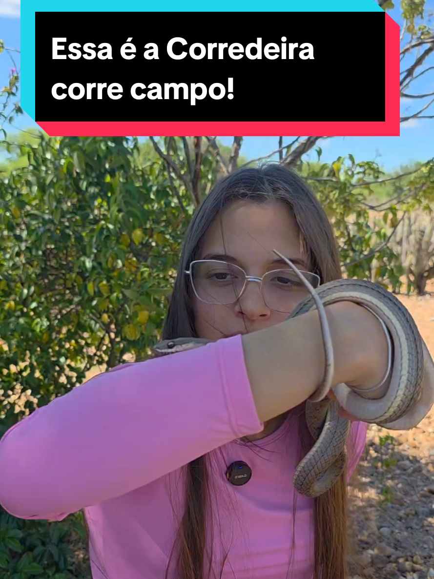 @Princesa das Serpentes
