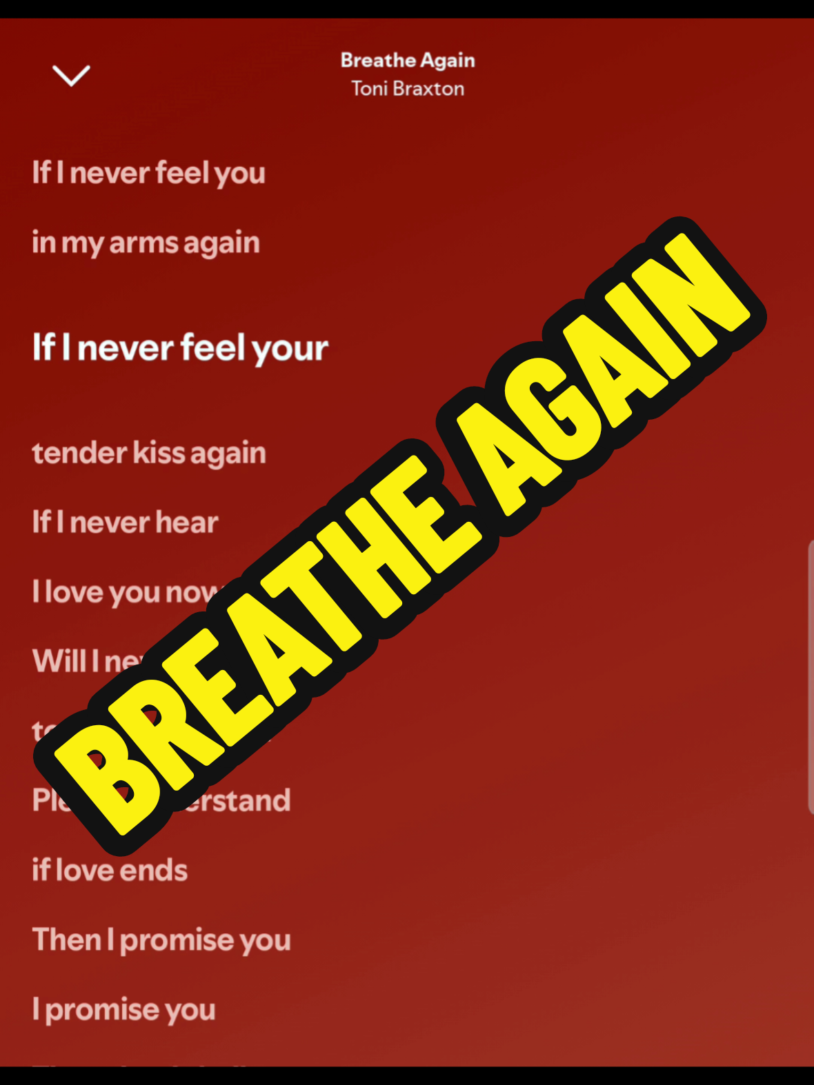 @Dog Narrator 🐶 | Lyrics