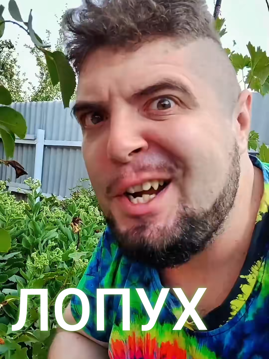 @☕🐱⚡️ КОТЭН ШТЕЙН 🧠⚡️🧟♂️