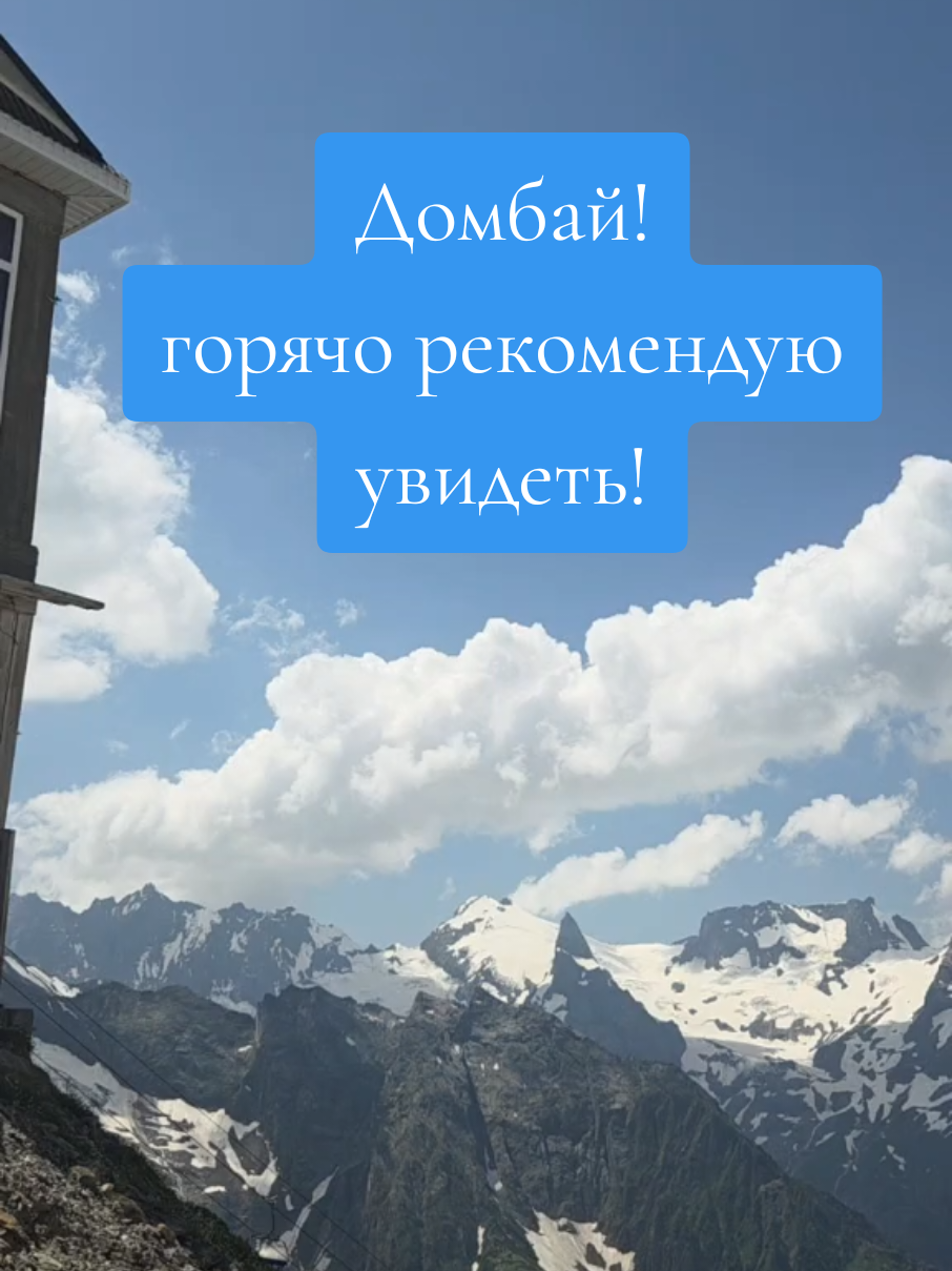 @slavrus_vet