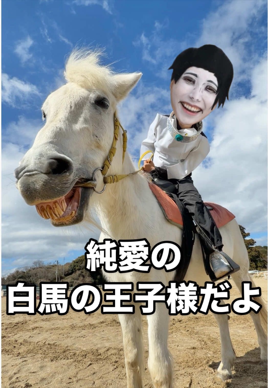 @ヒステリック姉妹なの
