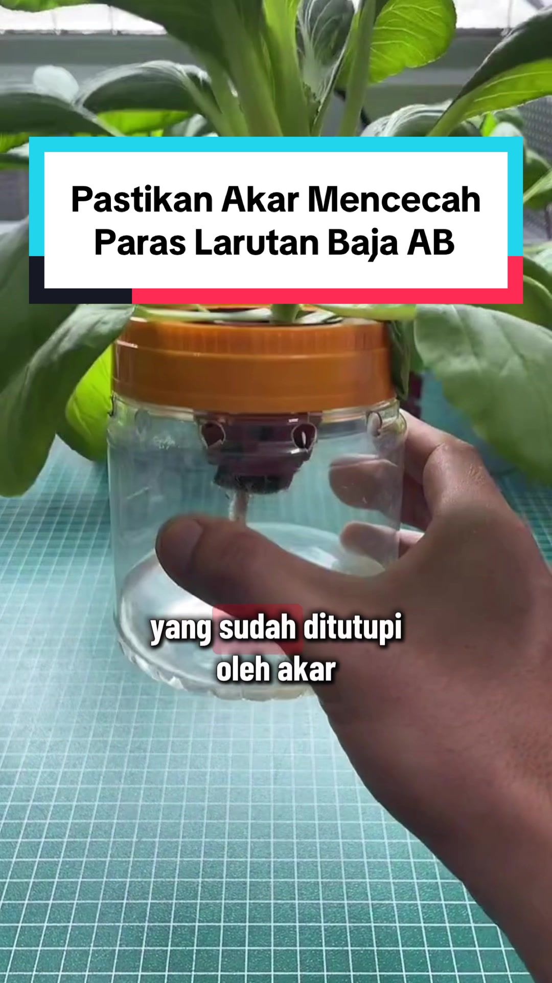 @Izat Aizie