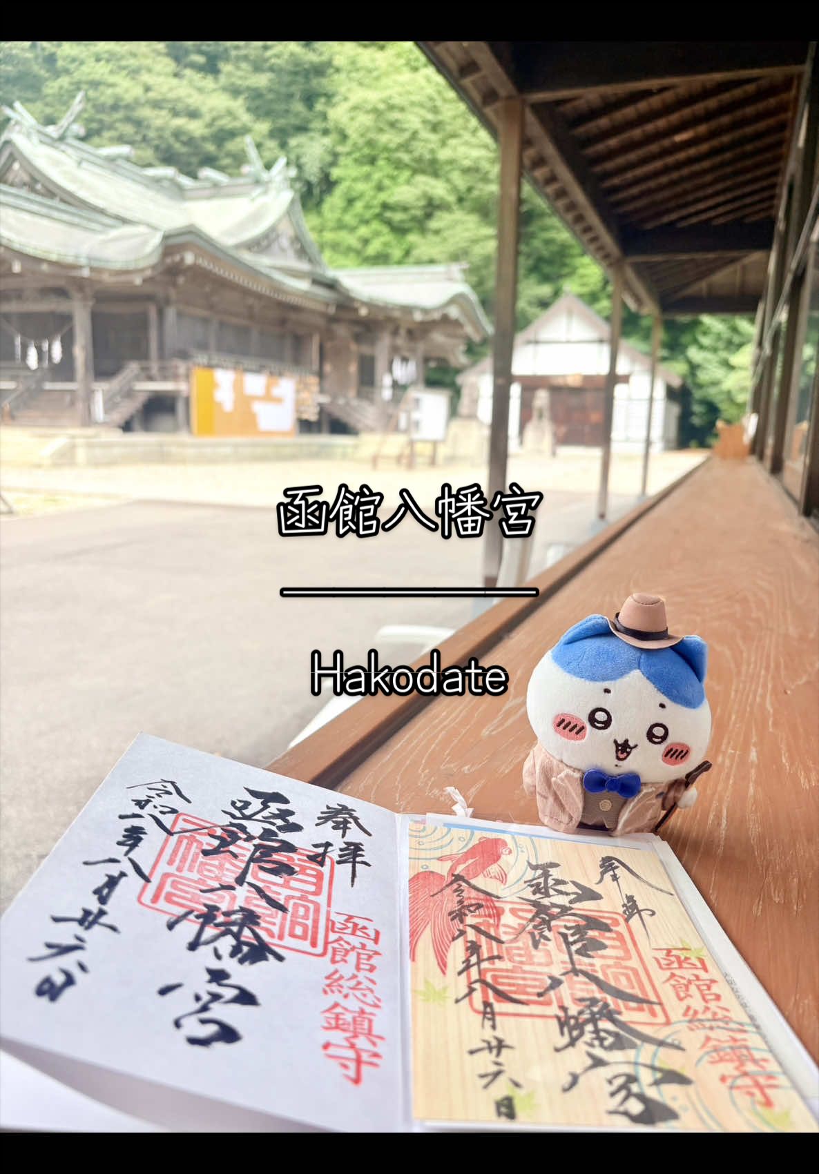 @ハチワレる