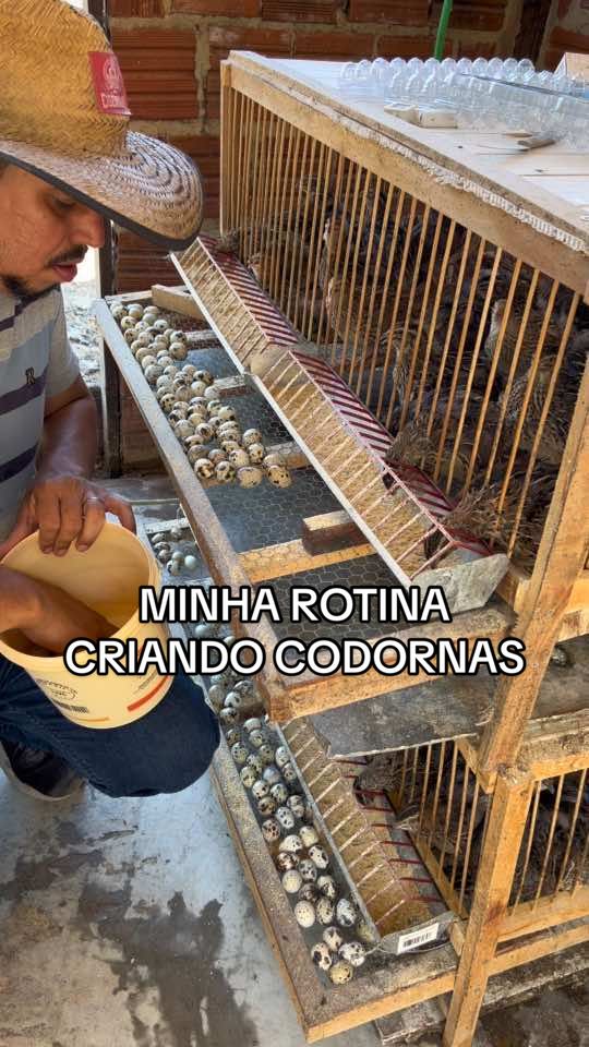 @souza