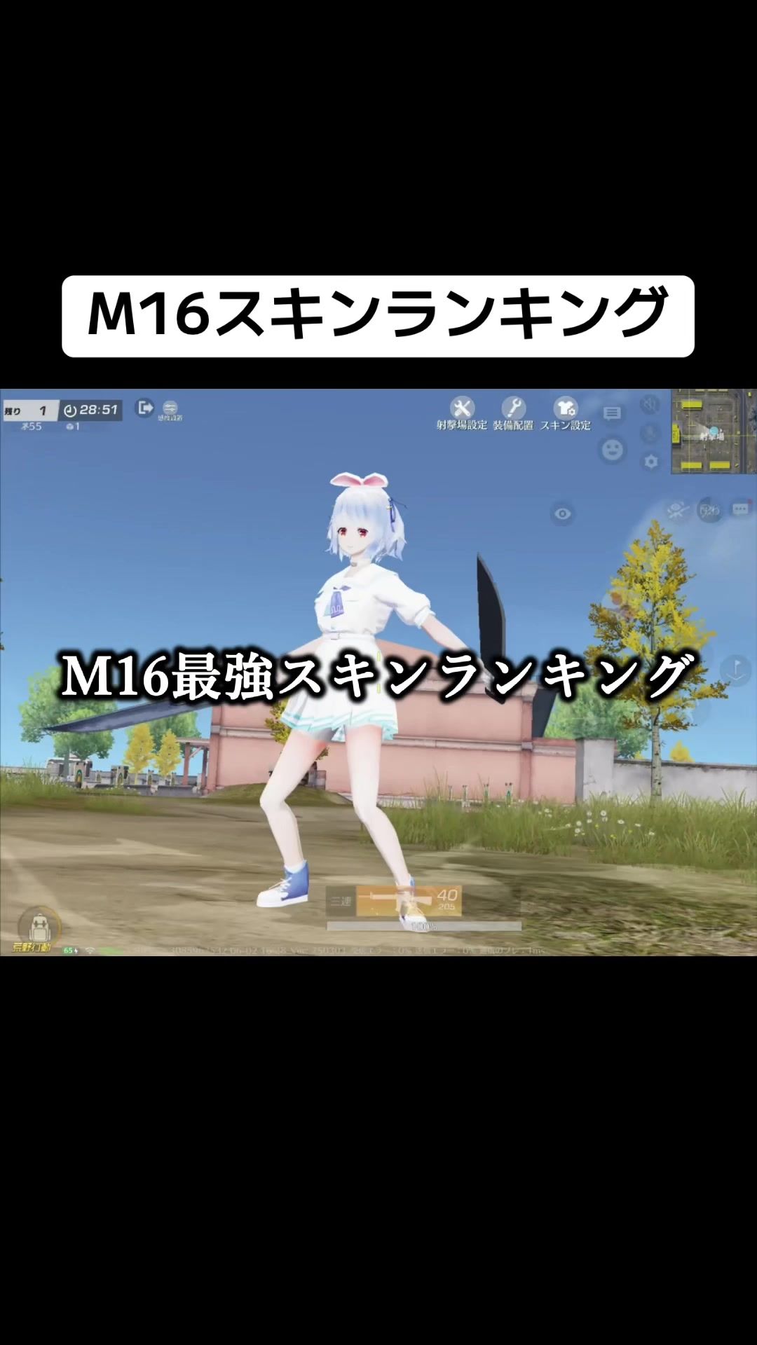 @微少女ちきん