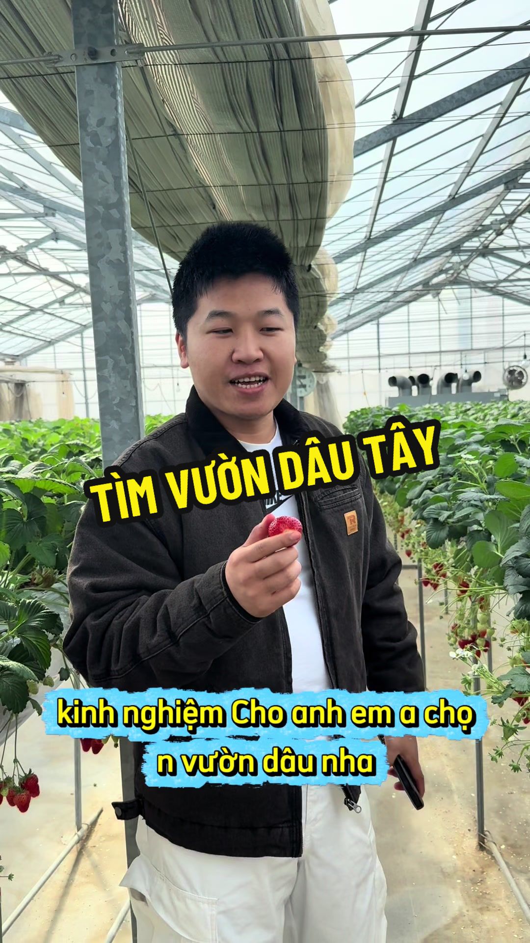 @huygo99