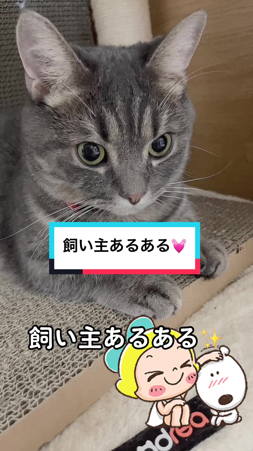@ふたばꕤ︎︎