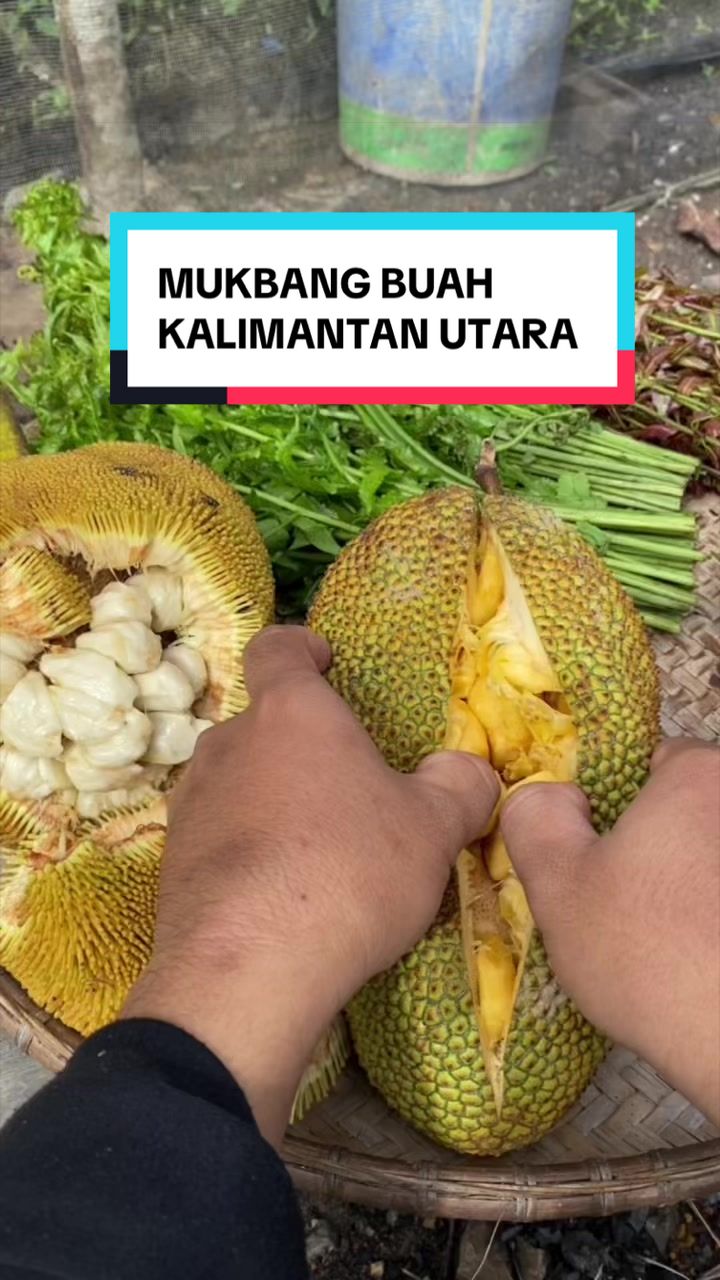 @Konco wiji 2