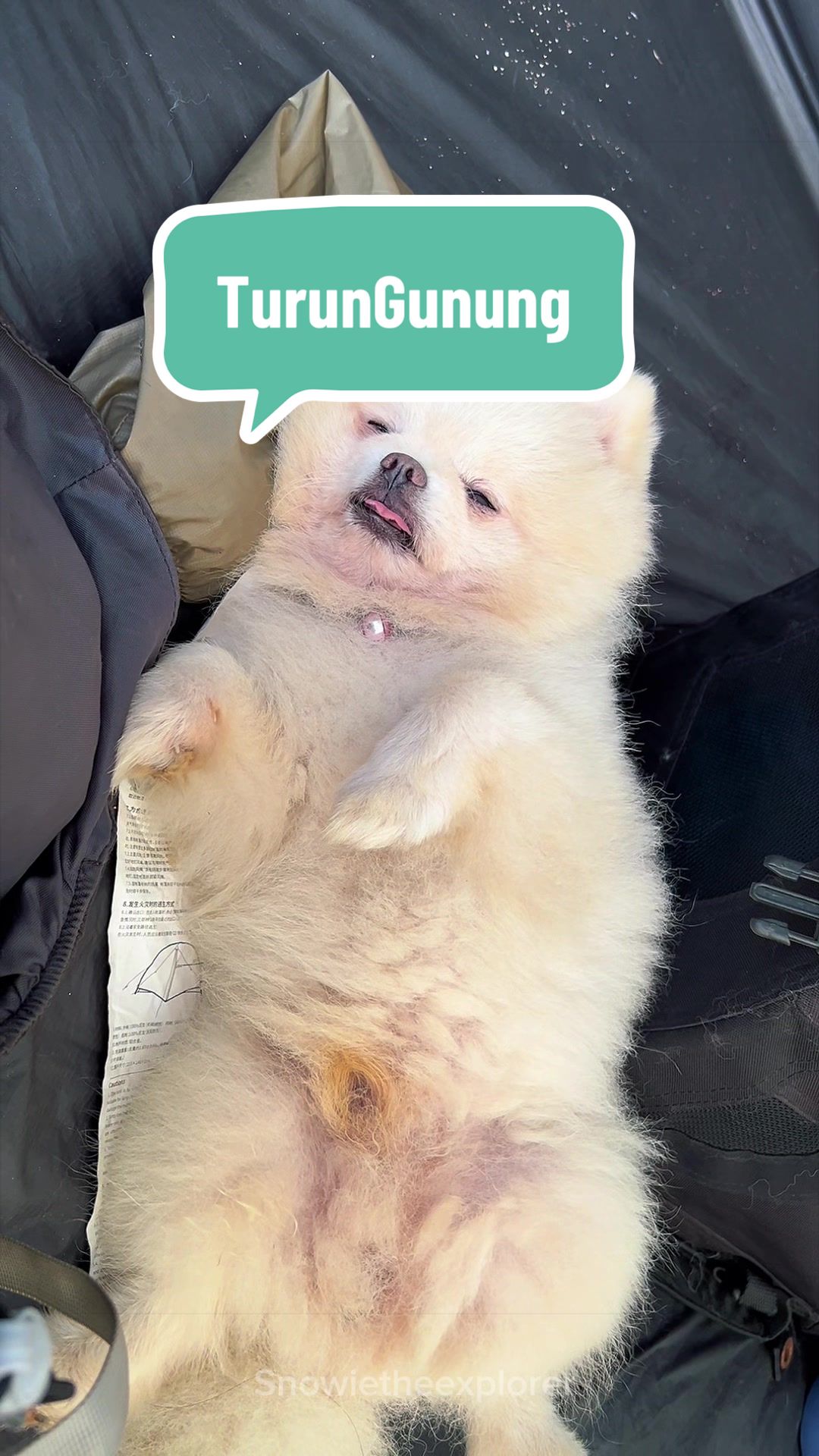 @snowietheexplorer