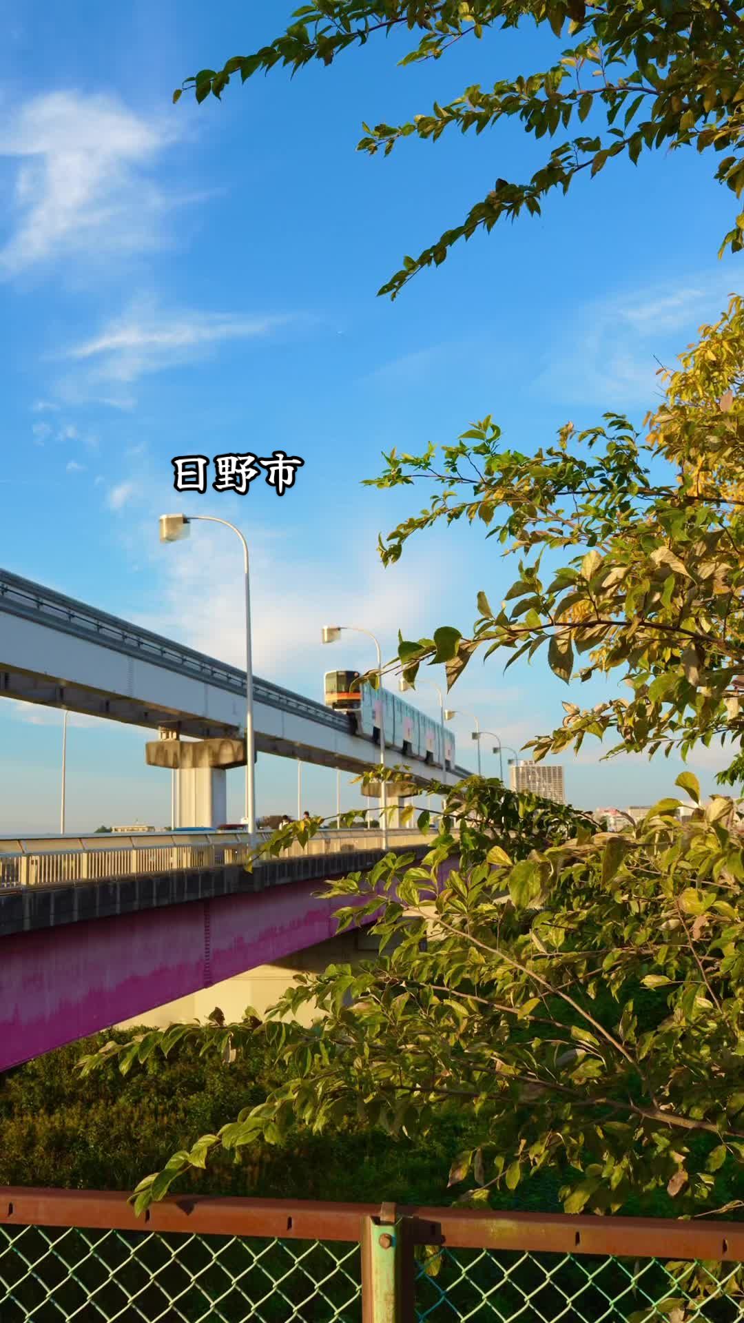 @カエルの日々