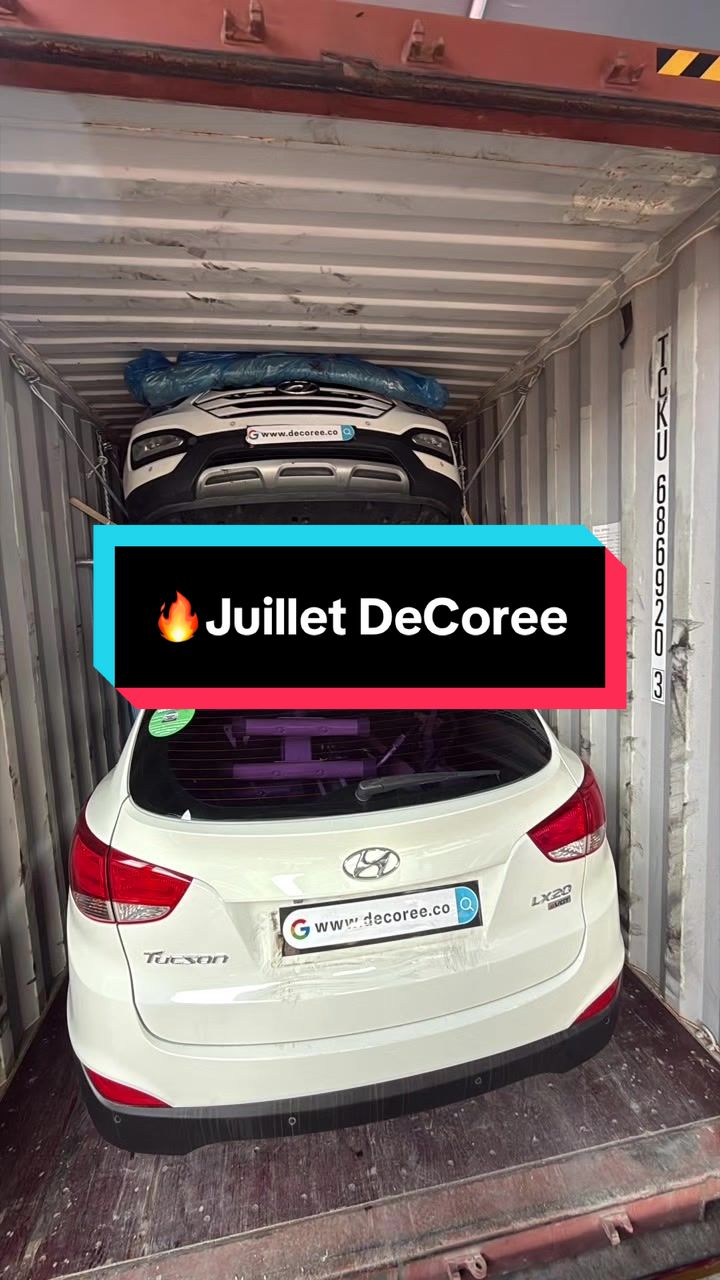 @DeCorée (Toxel톡🇰🇷🇲🇷)
