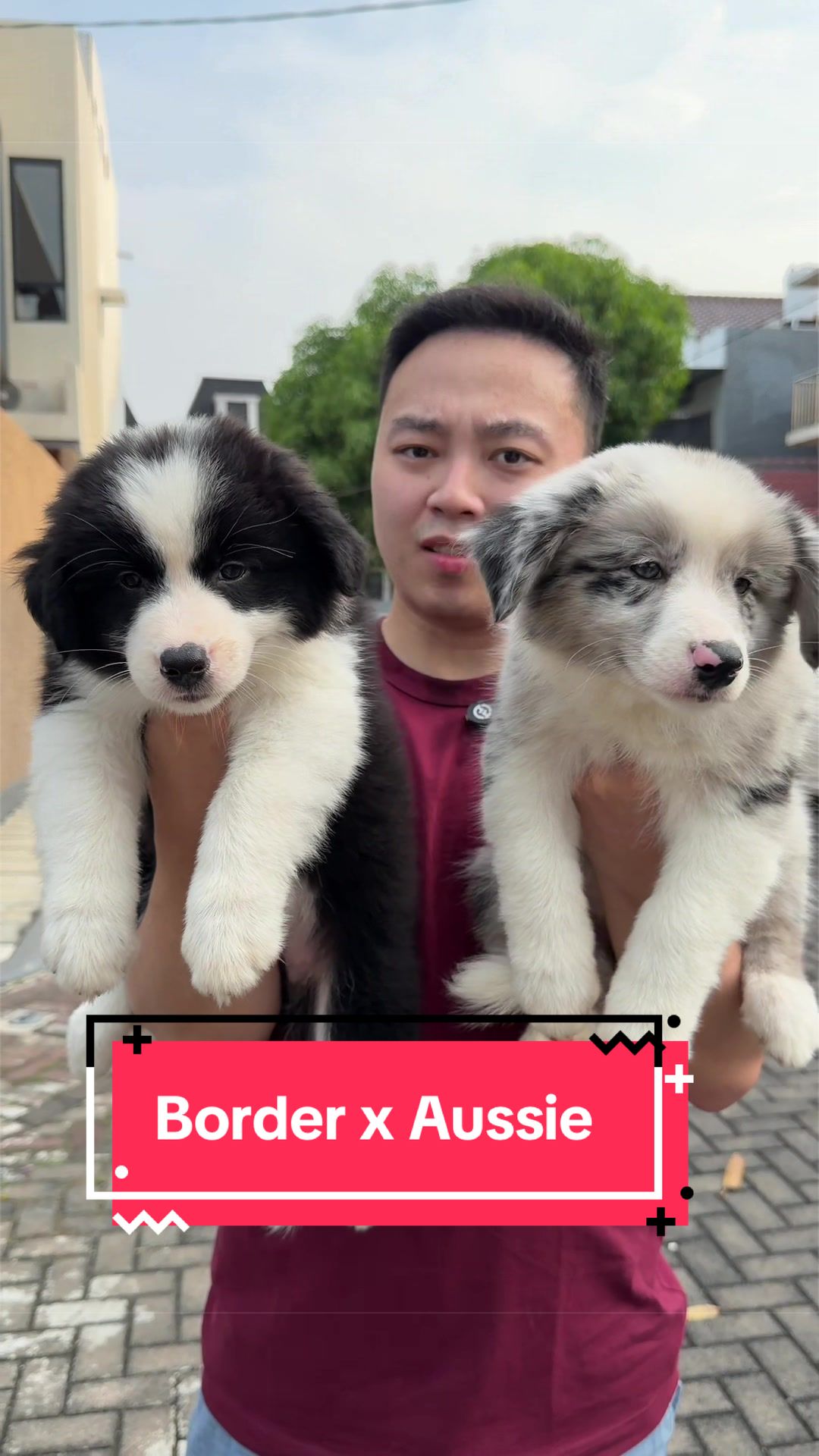 @Koko Guguk